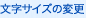 文字サイズの変更